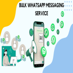 Bulk WhatsApp Messaging Service
